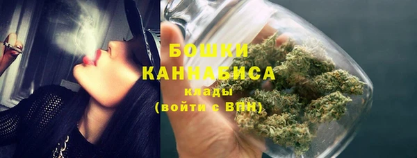 прущие грибы Арсеньев