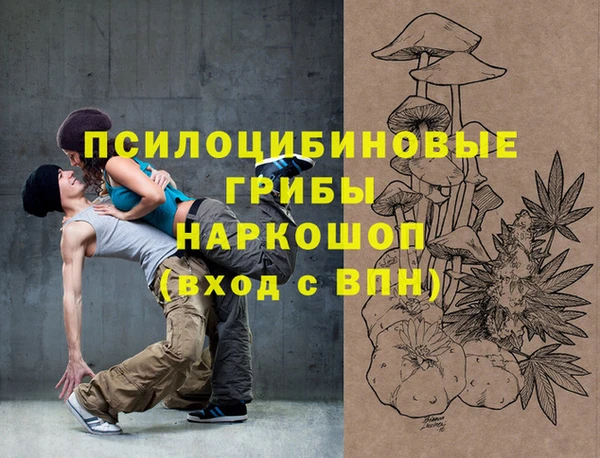 прущие грибы Арсеньев