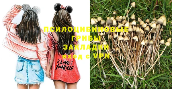 прущие грибы Арсеньев