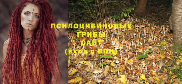 прущие грибы Арсеньев