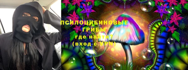 прущие грибы Арсеньев