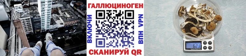 Псилоцибиновые грибы GOLDEN TEACHER  Электросталь 